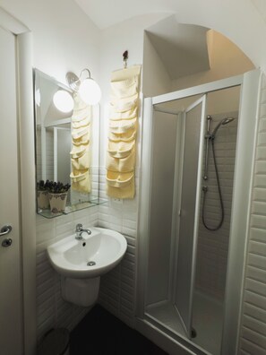 Regadera, secadora de cabello, bidet, toallas 