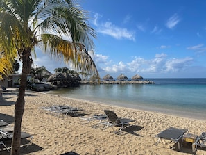 A beach with lounge chairs, a palm tree, and thatched-roof structures.