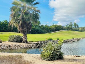 A golf course with a palm tree, a pond, and a stone wall.