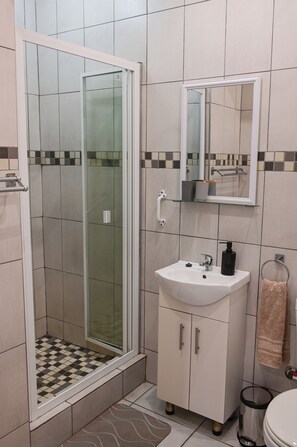 Shower, towels, soap, toilet paper