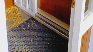 Eine Holztür mit Metallbeschlag und Briefschlitz, die zu einer Veranda mit strukturiertem Teppich führt.