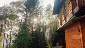 A wooden cabin with a stone pathway leading to the entrance, surrounded by trees and a clear sky. - Baita Carlito - Quiet and sunny setting overlooking the forest (Sueglio)