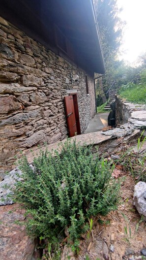 Property grounds - Baita Carlito - Quiet and sunny setting overlooking the forest (Sueglio)