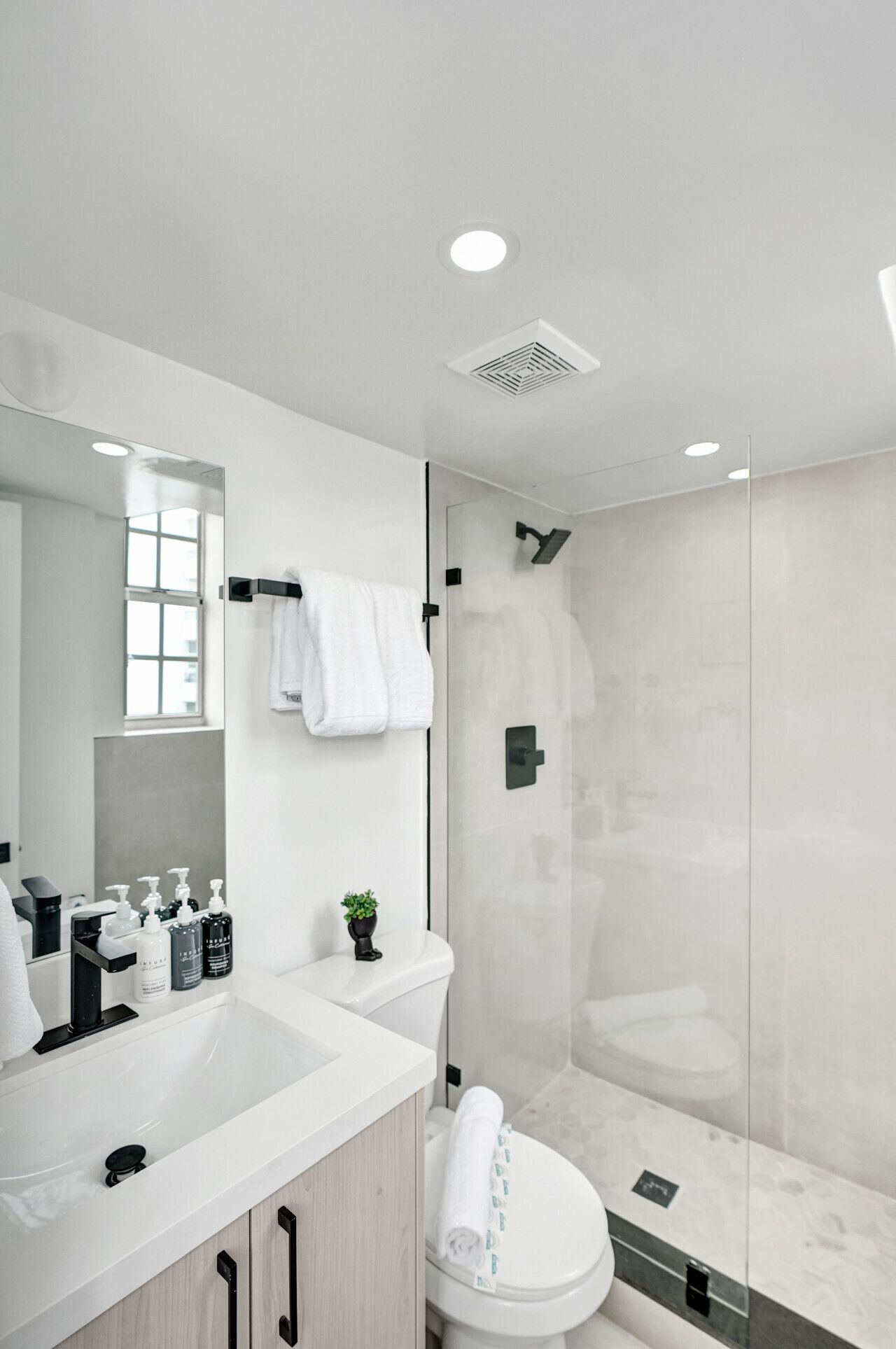 Une salle de bain moderne avec une douche à parois de verre, un lavabo blanc avec un miroir et des toilettes.