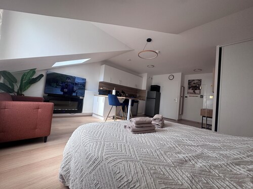 ☀ El Cubanito | Studio 30 m² | Aéroport CDG – Paris ❤