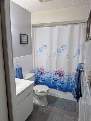 Hair dryer, towels, shampoo, toilet paper