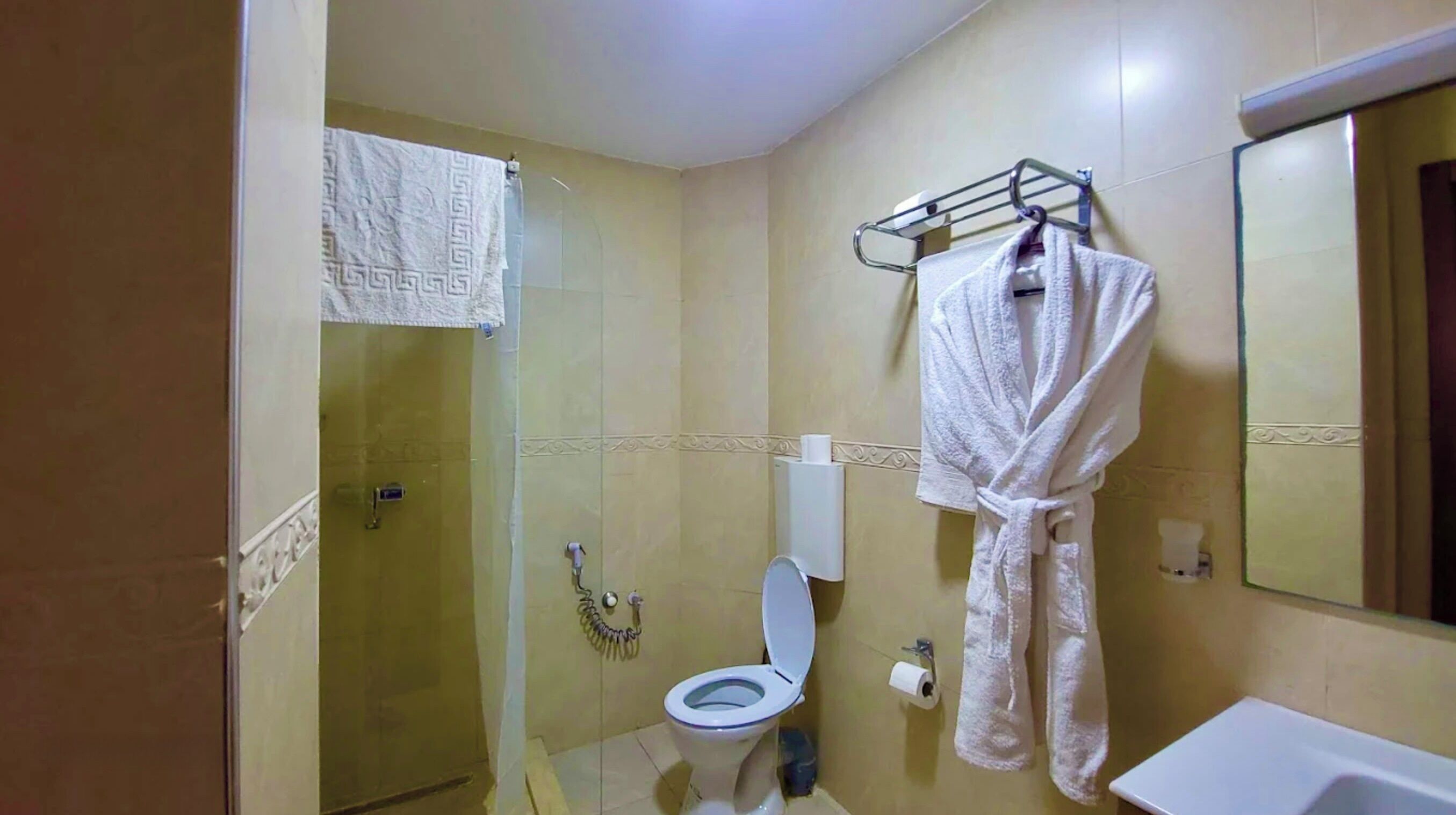 A bathroom with a shower, toilet, and a sink.