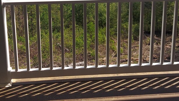 Uitzicht vanaf een balkon met een hekwerk, op een waterpartij omringd door bomen.