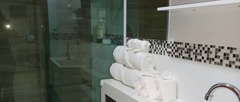 Shower, hair dryer, towels, soap