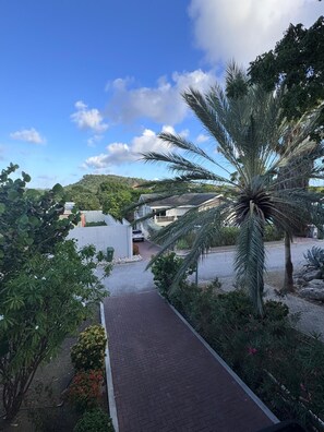 Ein Weg führt zu einer Wohngegend mit Häusern, einer Palme und einer hügeligen Landschaft.