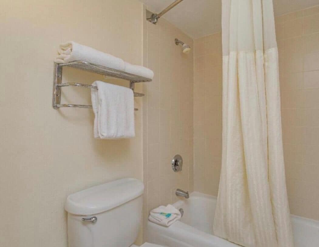 Hair dryer, towels, soap, toilet paper