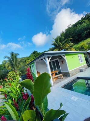 Une maison avec piscine, entourée d’une végétation tropicale.