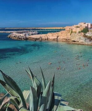 Miscellaneous - Vacation home Annameri (Terrasini)
