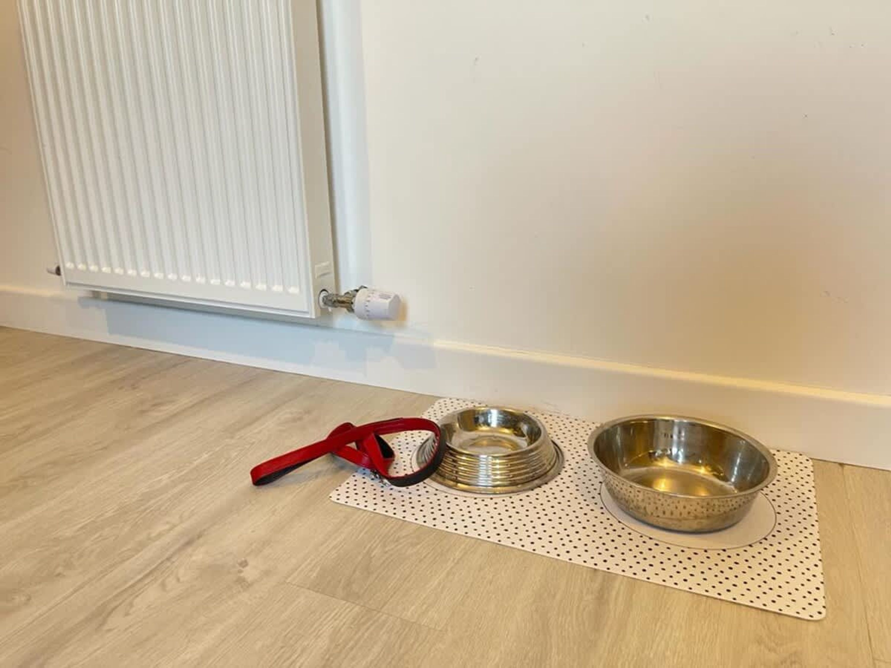 A pet feeding area with a mat, bowls, and a red leash.