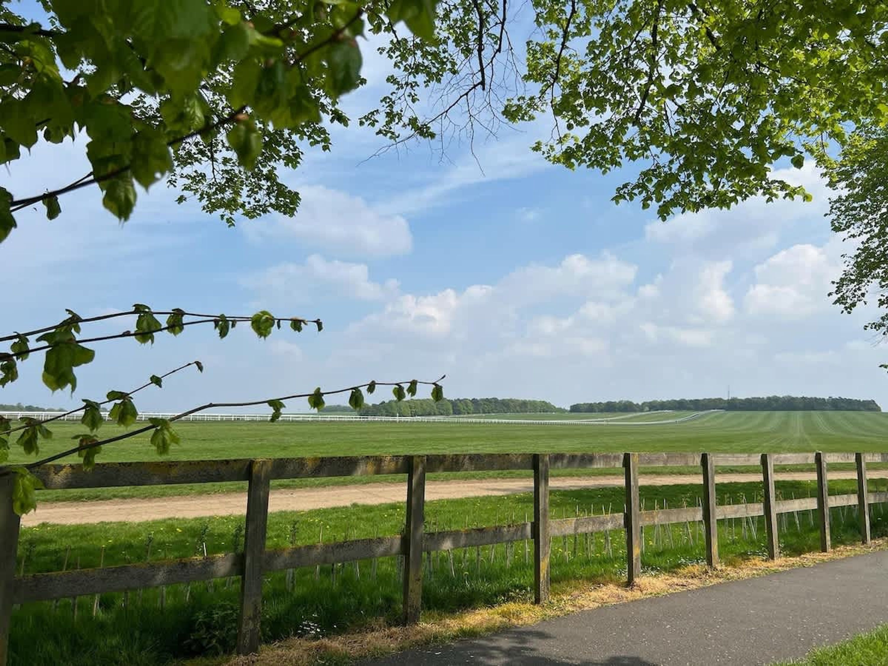 A rural landscape with a wooden fence, a dirt path, and a green field.
