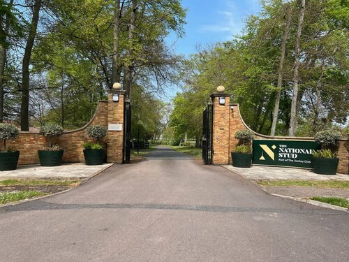 1 BR Apart 14 min Walk to Tattersalls EV Charging