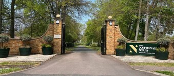 1 BR Apart 14 min Walk to Tattersalls EV Charging