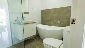 Shower, towels, soap, toilet paper
