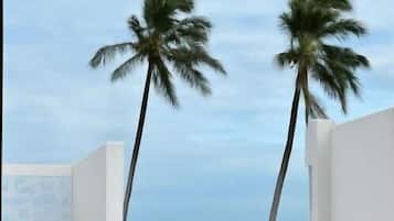 Studio – standard, bakgårdsutsikt | Innvendig