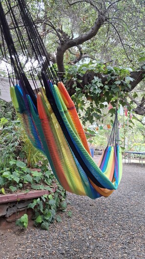 Property grounds - Green Country House in San Antonio de las Minas BC (Villa de Juárez)