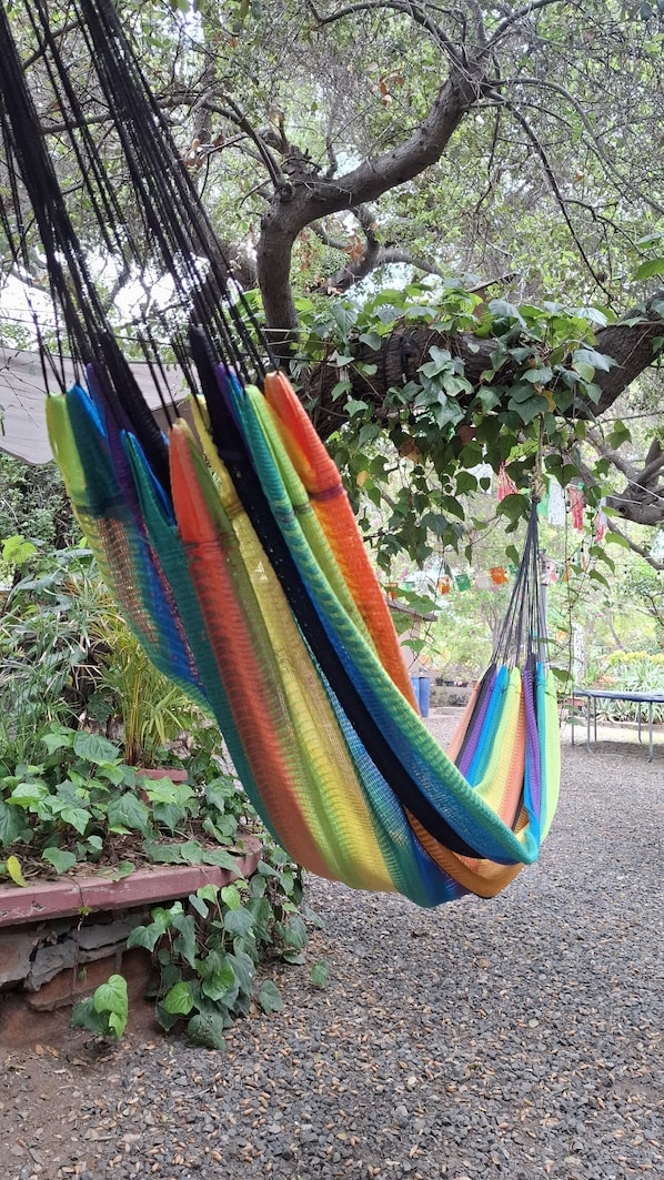A hammock hanging from a tree in a garden area.
