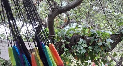 Green Country House in San Antonio de las Minas BC
