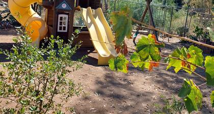 Green Country House in San Antonio de las Minas BC