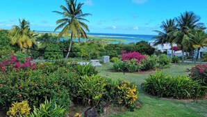Un jardin luxuriant, avec des palmiers et des plantes tropicales, un ciel d’un bleu éclatant et une vue sur l’océan.