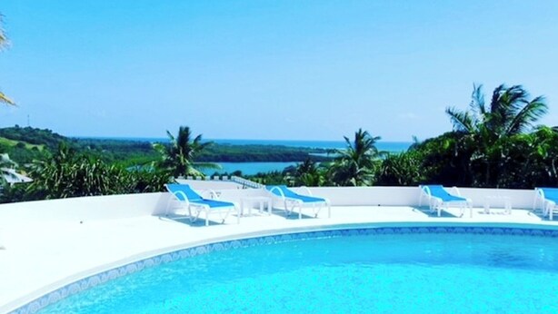 Une piscine à l’eau d’un bleu cristallin, entourée de chaises longues blanches et de palmiers.