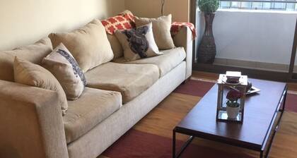2-bedroom condo in pleasant Santiago Metropolitan Region with fitness room
