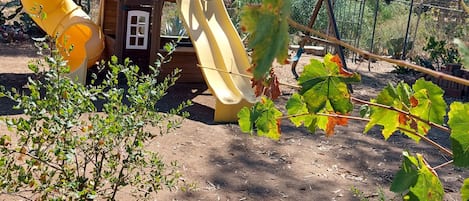 Children’s area
