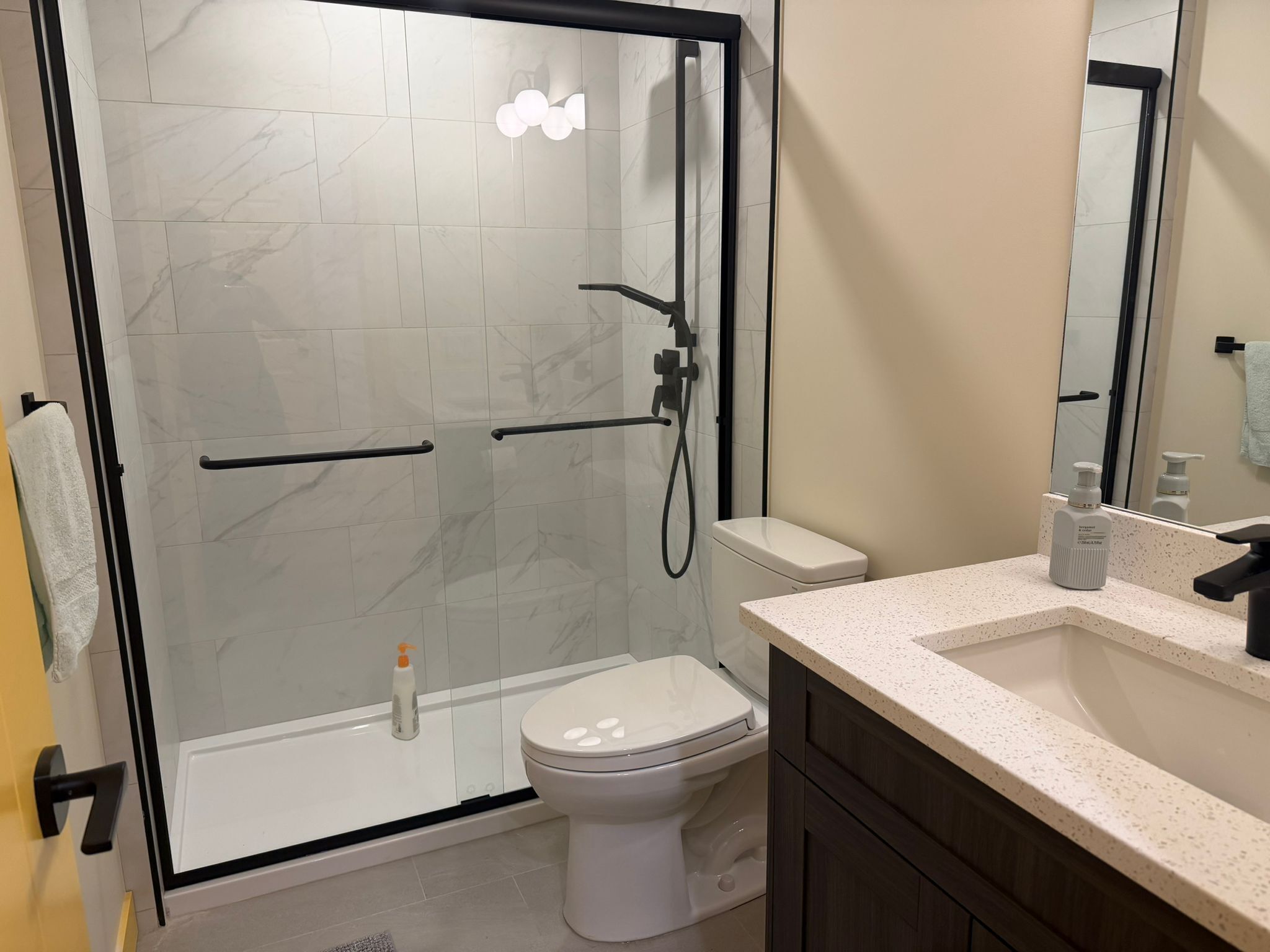 Hair dryer, towels, soap, toilet paper