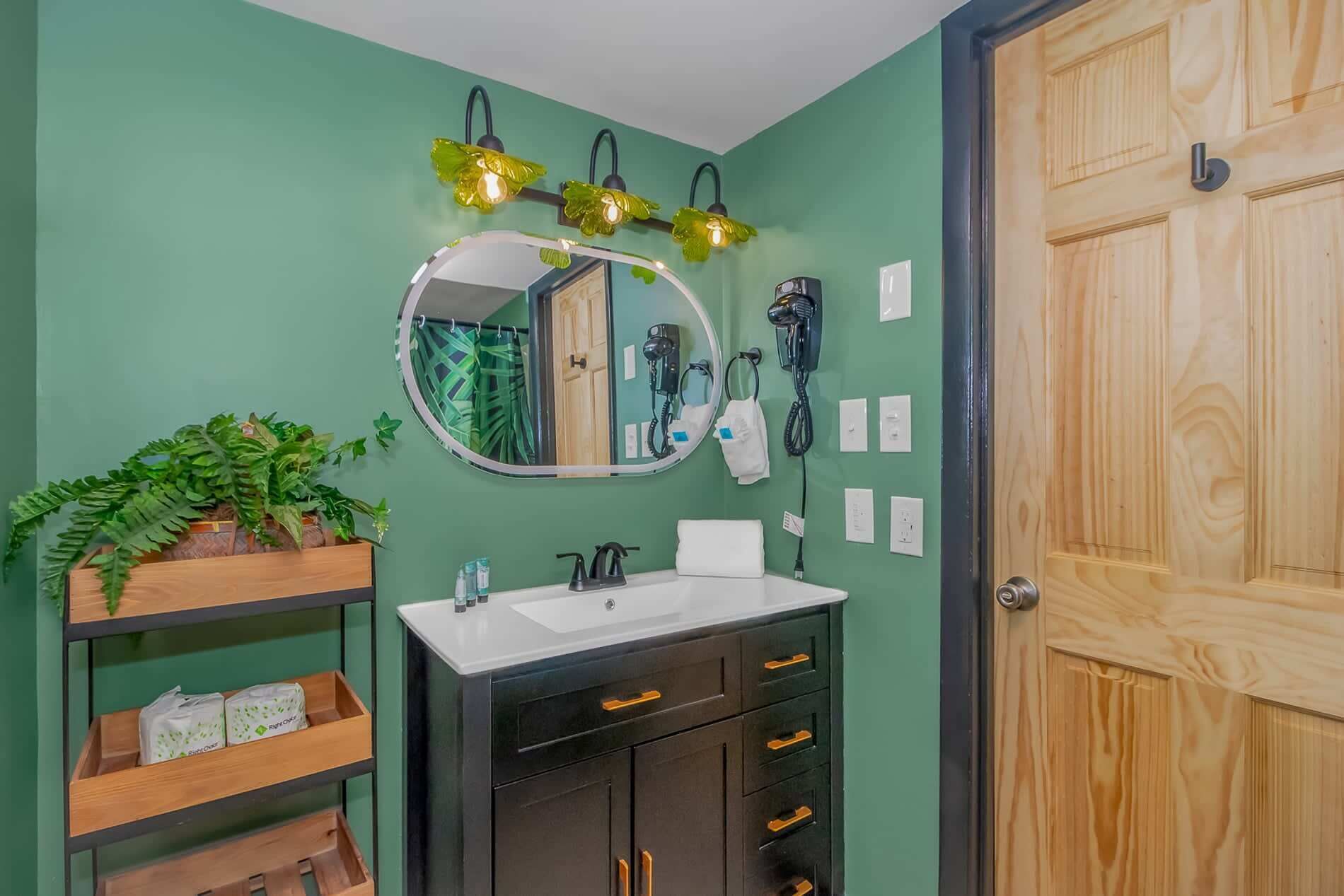 A bathroom with a round mirror, a sink, a wooden shelf with plants, a hairdryer, and a wooden door.