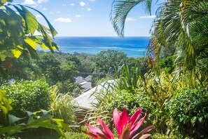 Property grounds - Hillside with fantastic Views over north shore  Top Ridge Views (Roatan)