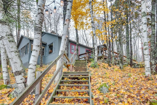 Un escalier en bois mène à un chalet entouré de bouleaux et de feuilles d’automne.