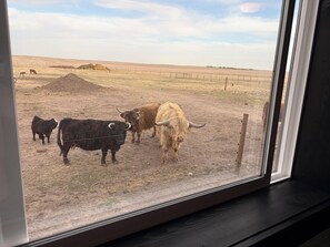 Interior - 2-bedroom farmhouse at Stardust and Saige Homestead Grant/Ogallala (Grant)