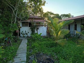 A pathway leading to a house with a tiled roof, surrounded by lush greenery and various plants. - PEDRO'S LITTLE HOUSE - 100 meters from the tractor stop (Cairu)