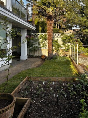 Un jardin résidentiel agrémenté d’un palmier, d’un potager surélevé en bois et d’une clôture blanche.
