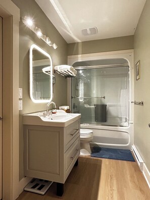 Hair dryer, towels, soap, toilet paper