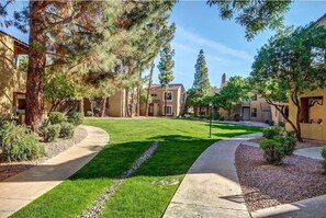 Terrain de l’hébergement 