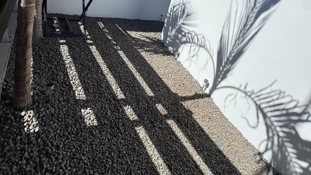 A modern outdoor area with a patio, a table, and a white wall with a leaf design. - T2 any comfort Tranquillity assured has only 5 min of st stone (Saint-Pierre)