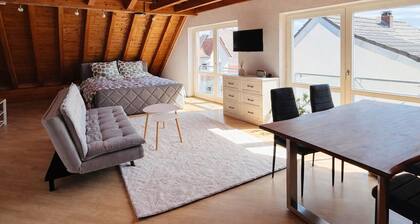 1-bedroom apartment in nice Teningen with AC next to A5 and Europa-Park Rust