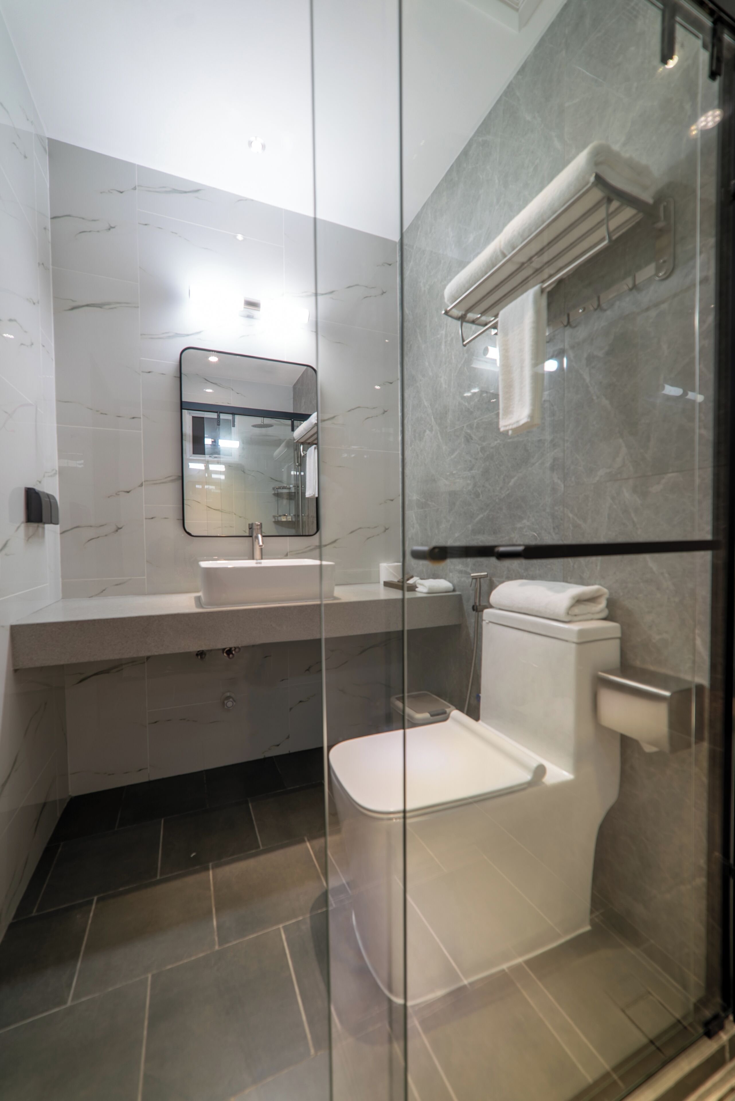 A modern bathroom with a glass shower enclosure, a white sink, and a toilet.