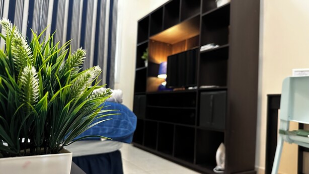 A living room with a potted plant, a blue sofa, and a black entertainment unit with shelves. - Olivia's BNB: Fully furnished private suite in Jimi Ameriya (Al Ain)