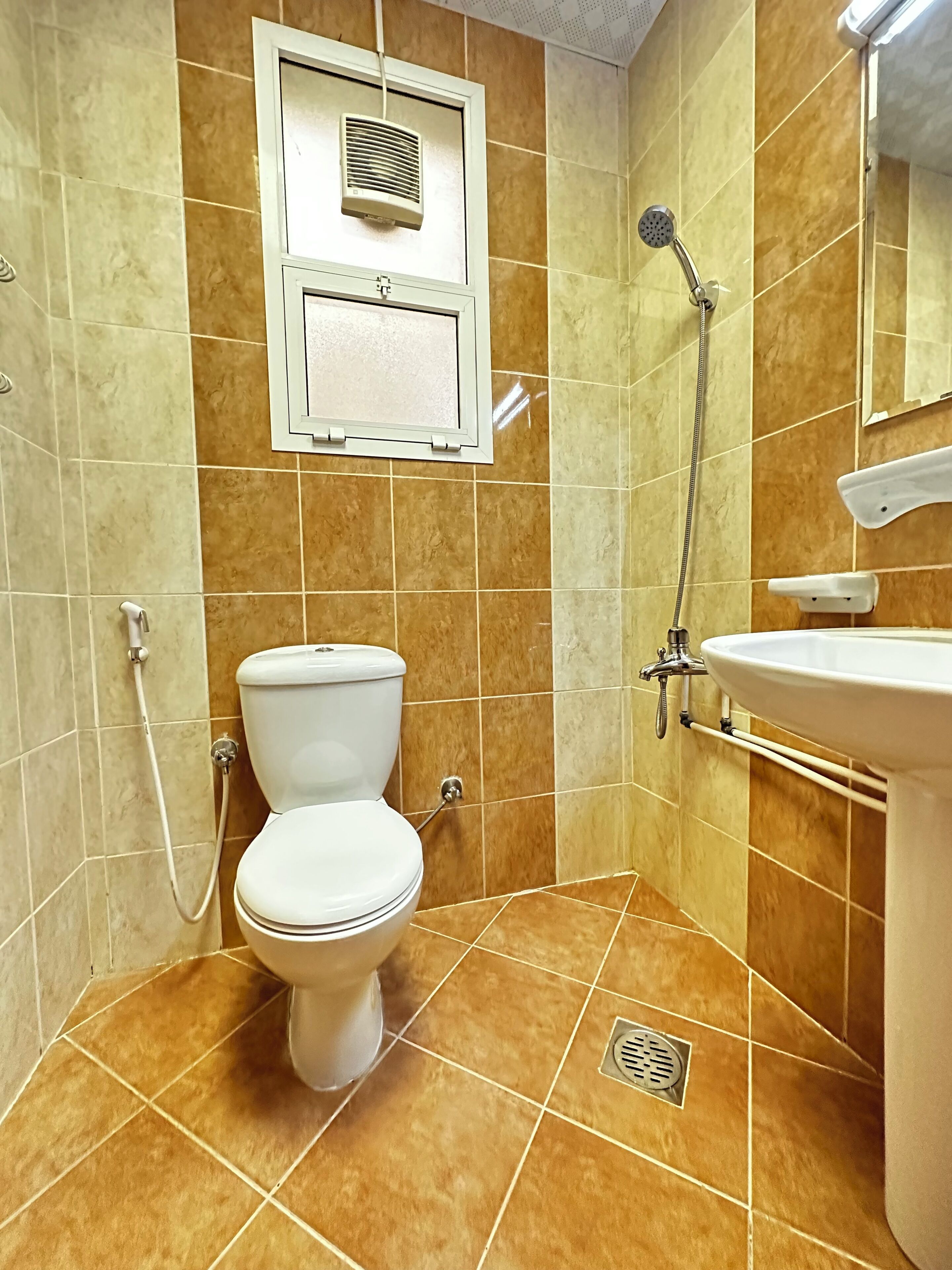 Shower, hair dryer, bidet, towels