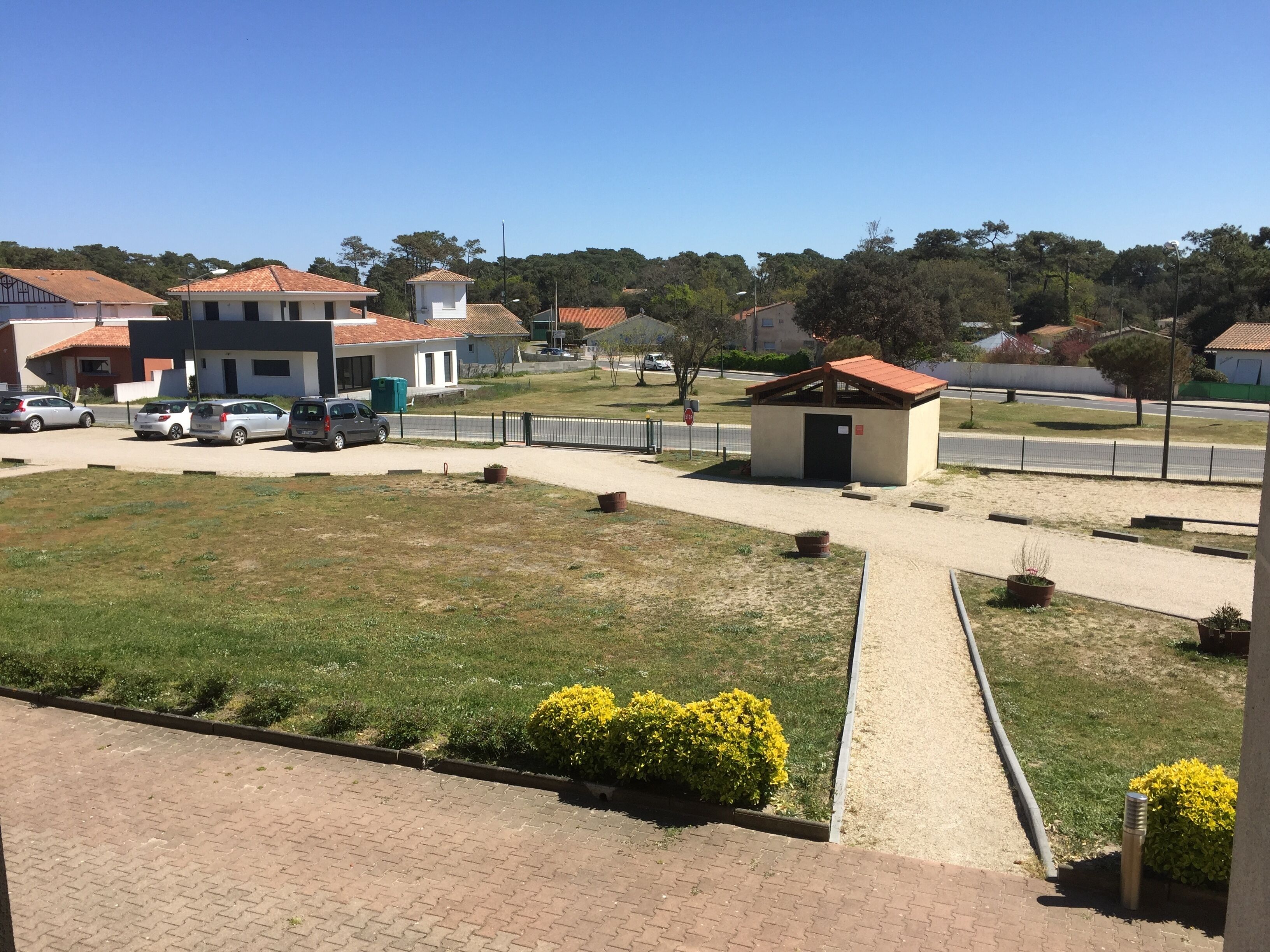 A residential area with houses, a small shed, a paved road, and a grassy area with yellow flowers.