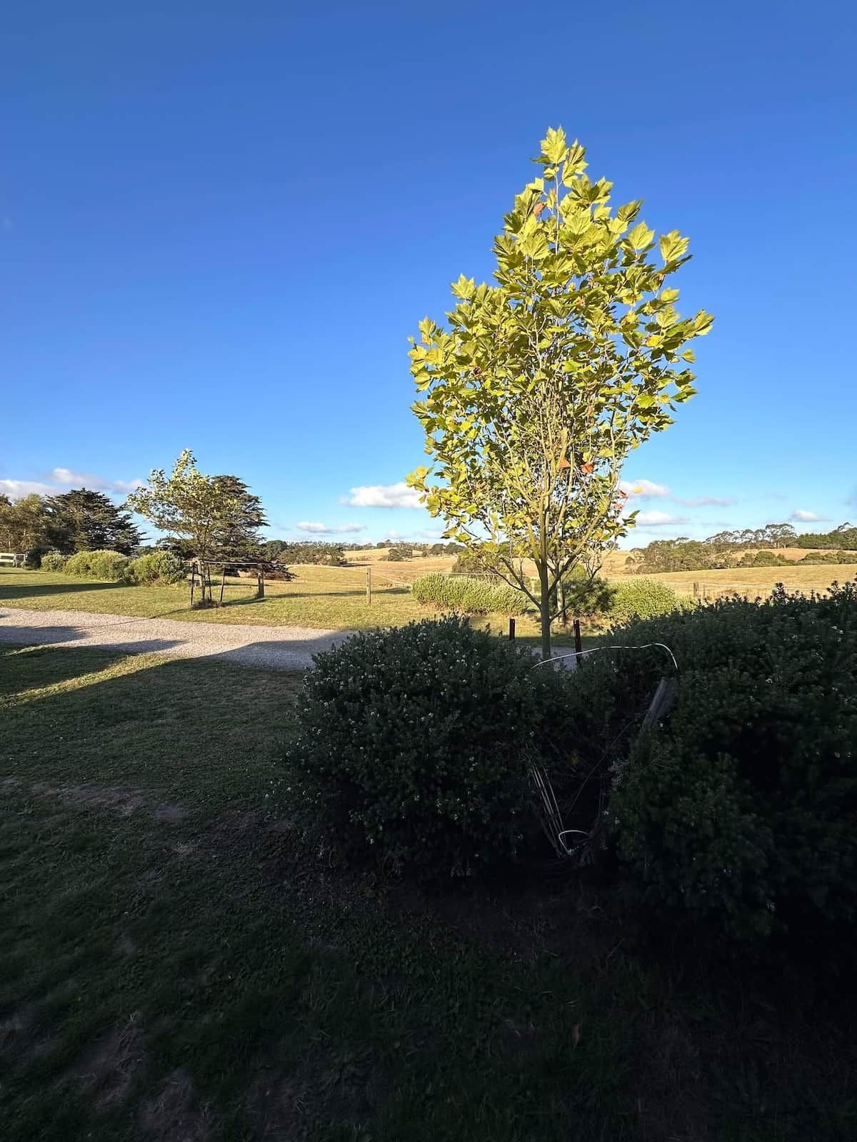 Overlooking the rolling hills from the front door.

