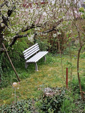 Property grounds - Maison D'Amie - House of hospitality (Bürgstadt)