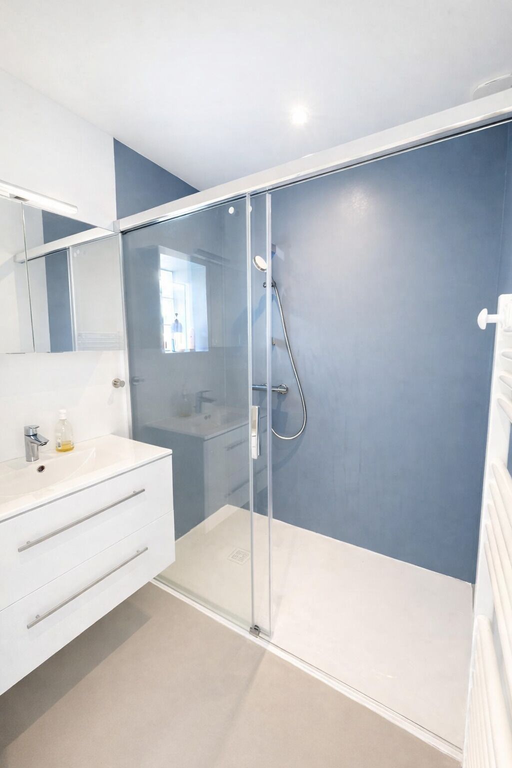 シャワー、ヘアドライヤー、トイレットペーパー