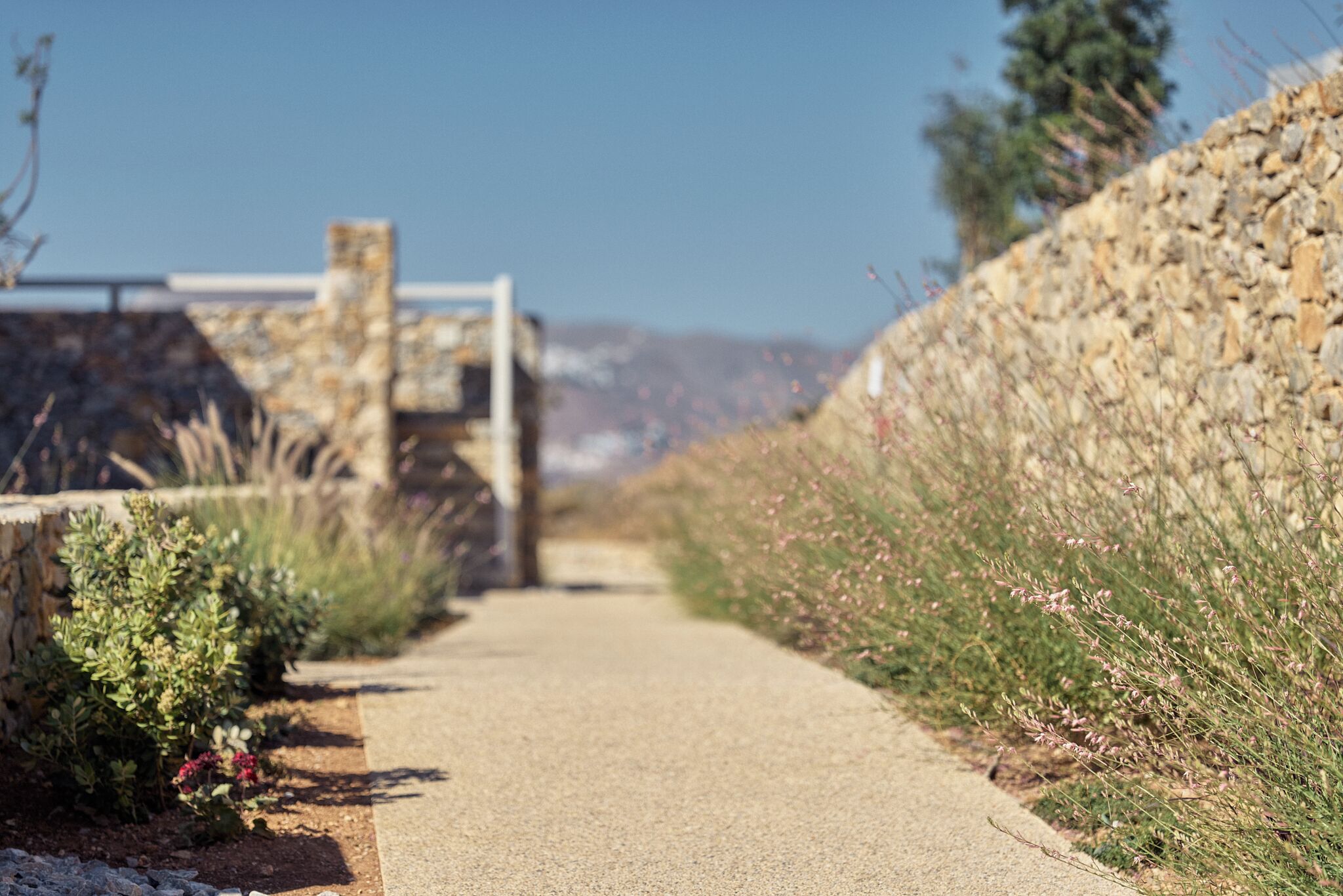A paved pathway flanked by stone walls and vegetation.